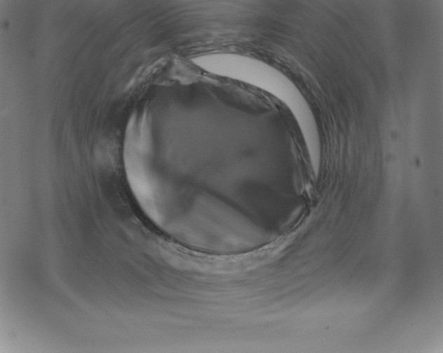 X0000074040035200609111750