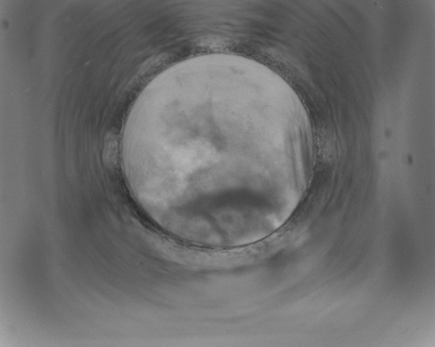 X0000074040036200609111750