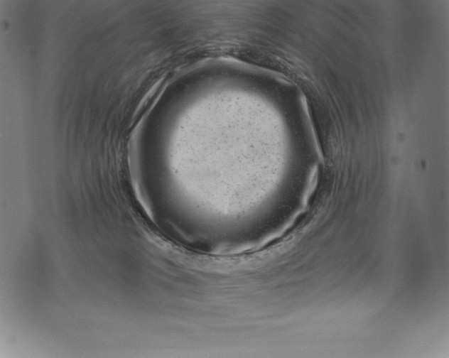 X0000074040037200609111750