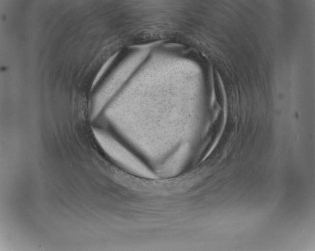 X0000074040038200609111750