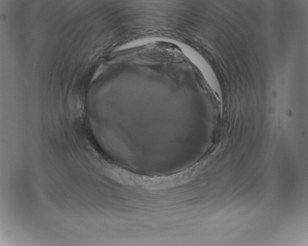 X0000074040039200609111750