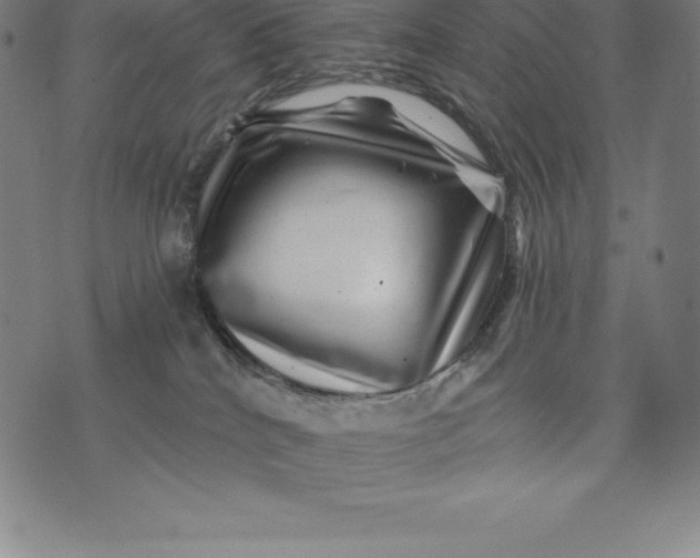 X0000074040040200609111750