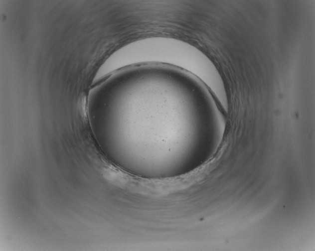 X0000074040041200609111750