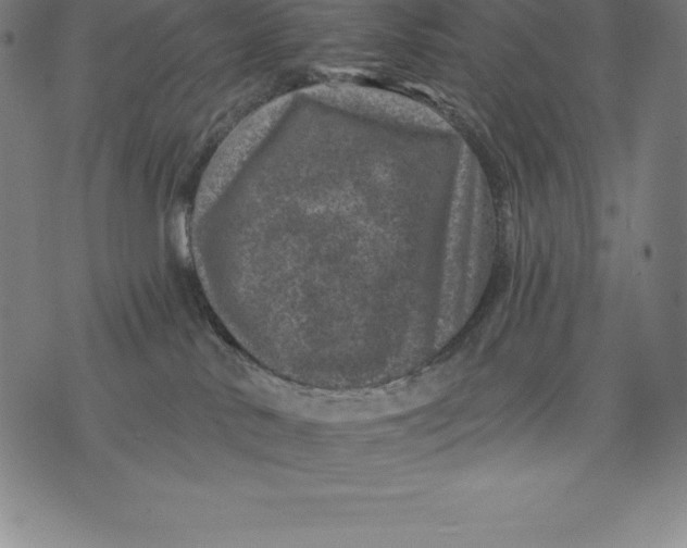 X0000074040042200609111750