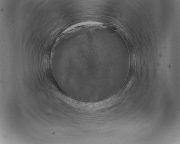 X0000074040043200609111750