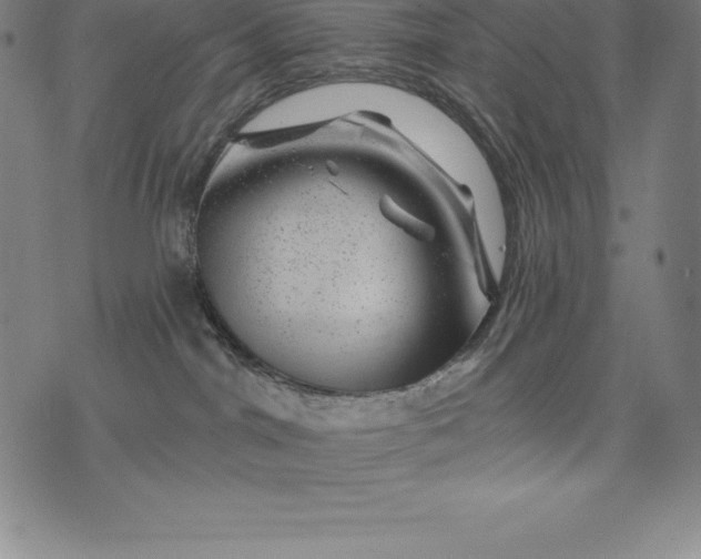 X0000074040044200609111750