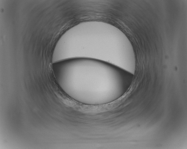 X0000074040045200609111750