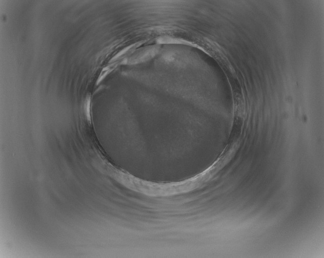 X0000074040047200609111750