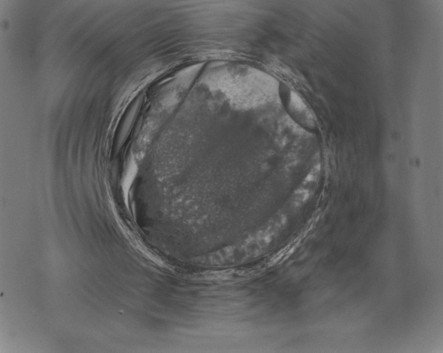 X0000074040049200609111749