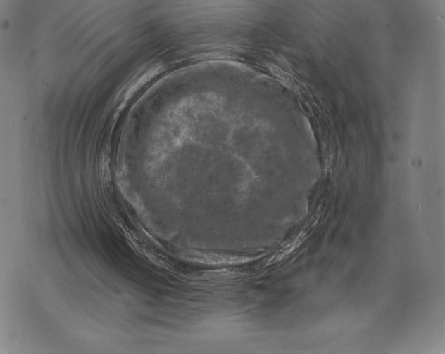 X0000074040050200609111749