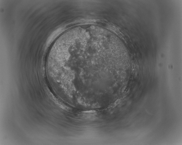 X0000074040053200609111749