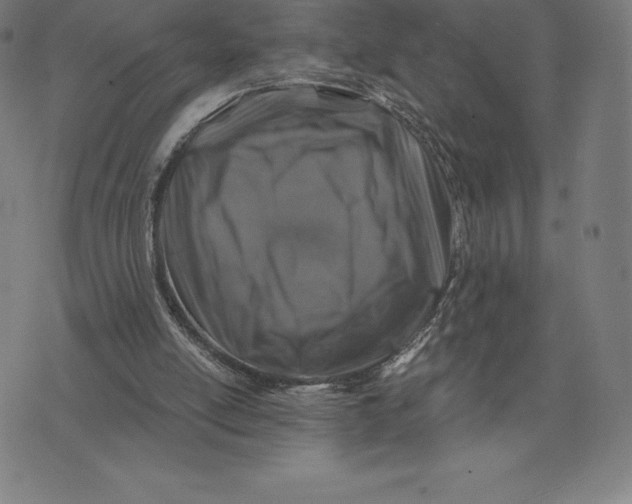 X0000074040054200609111749