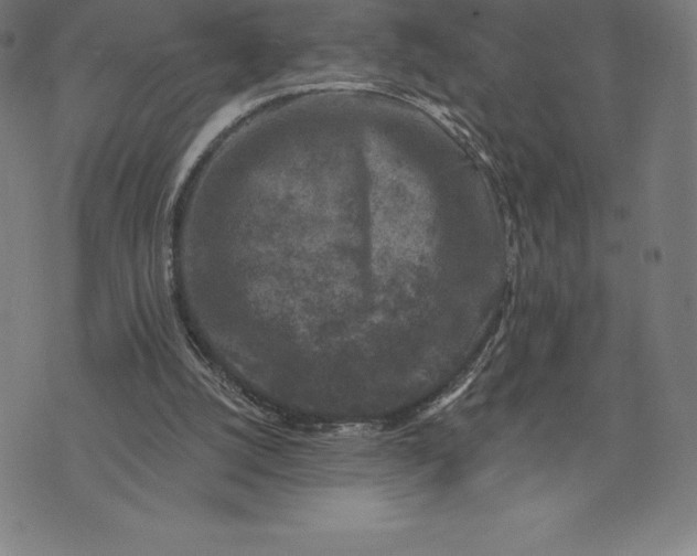 X0000074040056200609111749