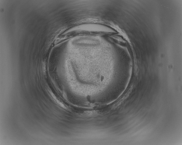 X0000074040057200609111749