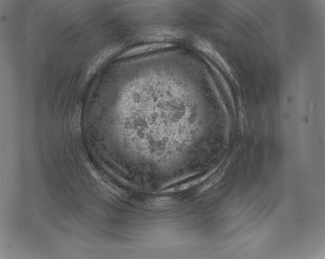 X0000074040058200609111749