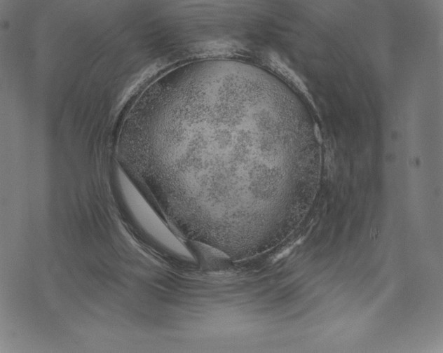 X0000074040059200609111749