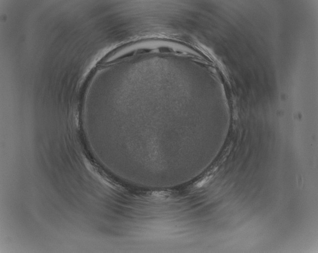 X0000074040060200609111749