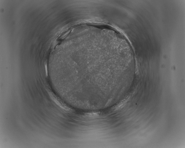 X0000074040061200609111749