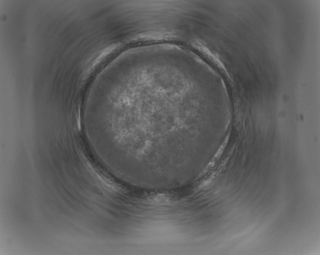 X0000074040062200609111749