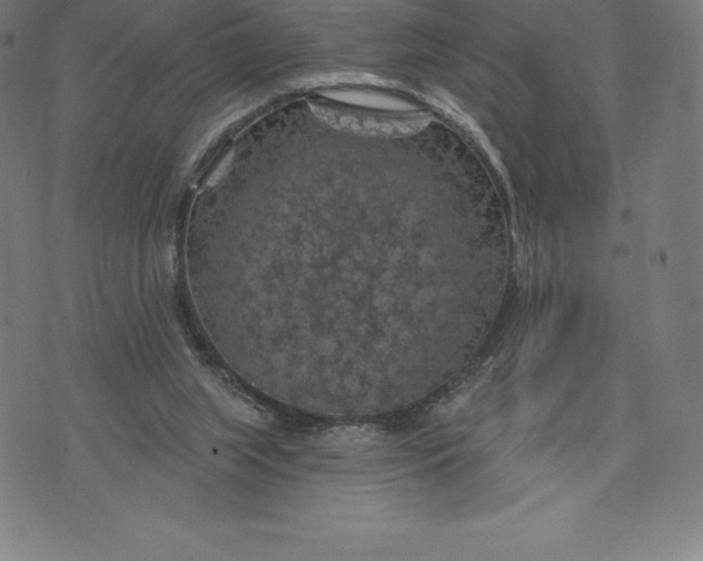 X0000074040063200609111749