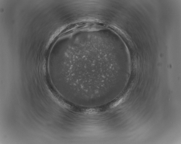 X0000074040064200609111749