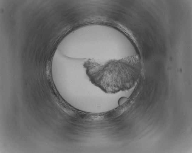 X0000074040065200609111749