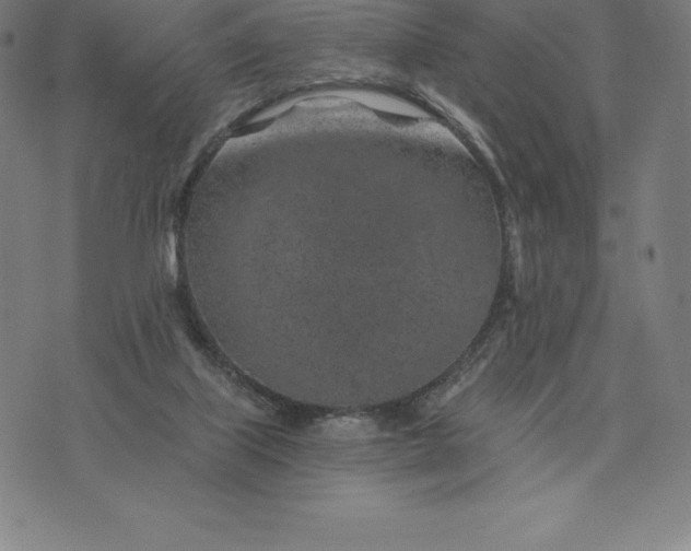 X0000074040067200609111749