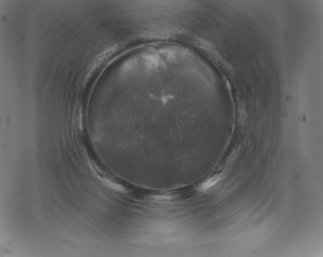 X0000074040068200609111749