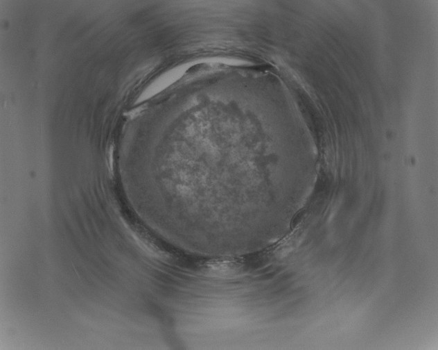 X0000074040070200609111749