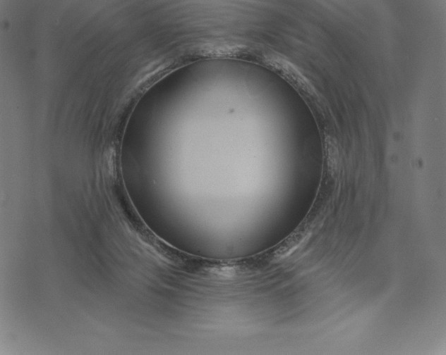 X0000074040071200609111749