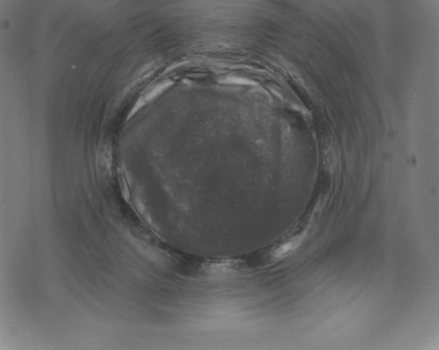 X0000074040072200609111749