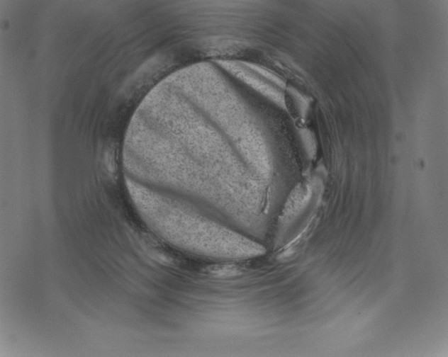 X0000074040074200609111749