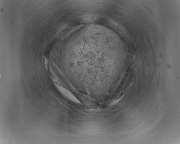 X0000074040075200609111749