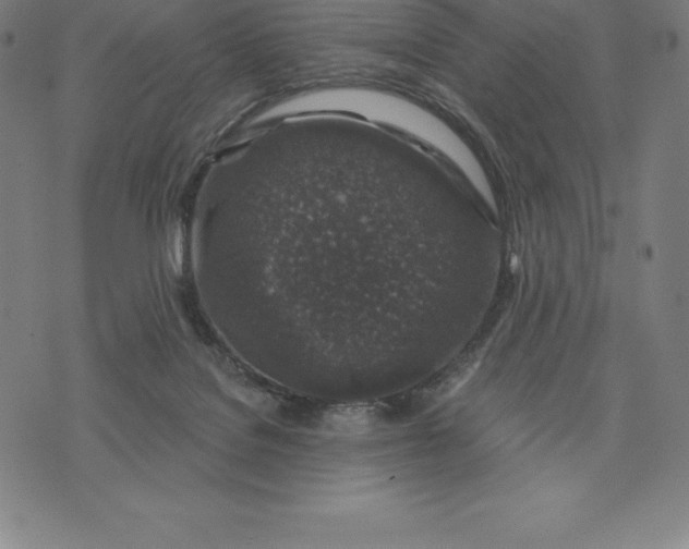 X0000074040076200609111749