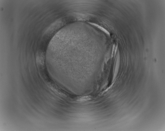 X0000074040078200609111749