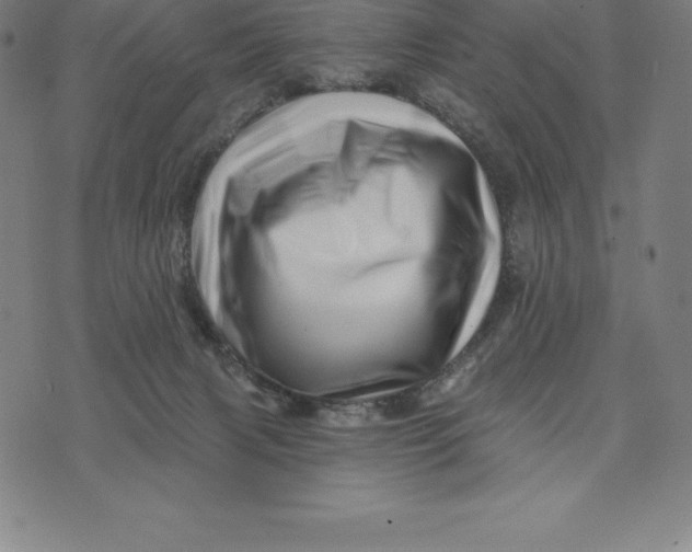 X0000074040079200609111749