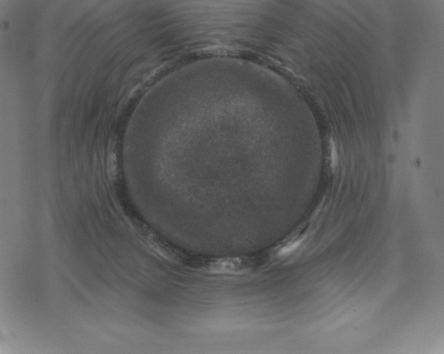 X0000074040080200609111749