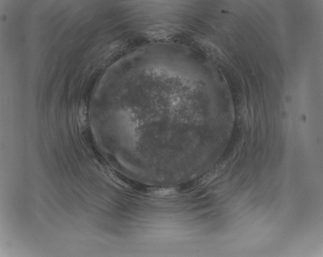 X0000074040081200609111750