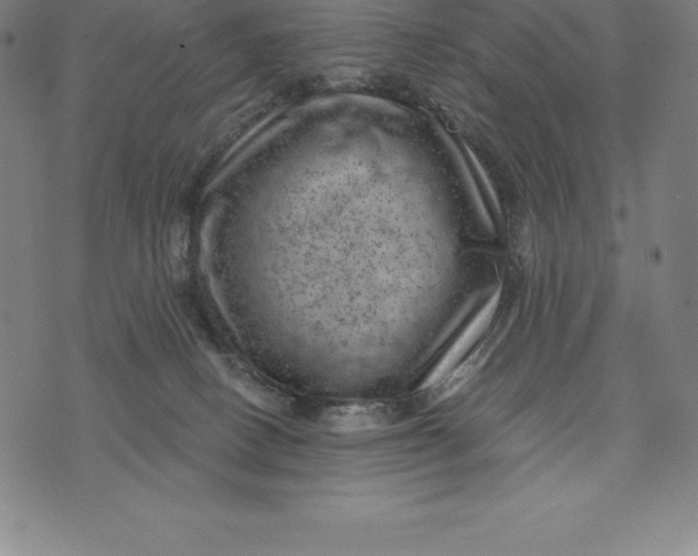 X0000074040082200609111750