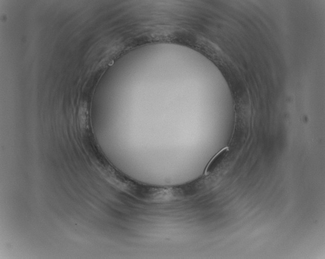 X0000074040083200609111750