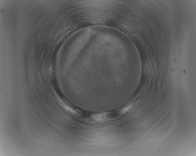 X0000074040084200609111750