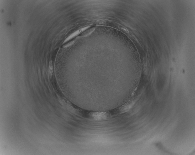 X0000074040085200609111750