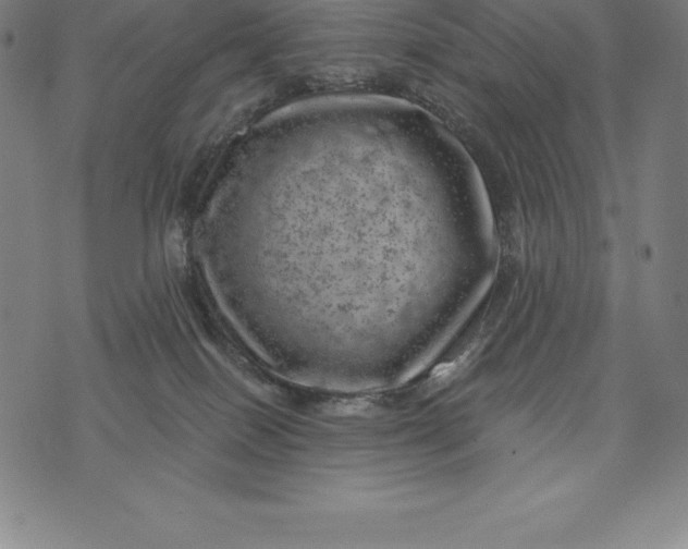 X0000074040086200609111750