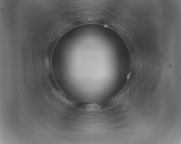 X0000074040087200609111750