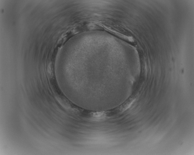 X0000074040088200609111750