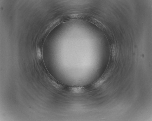 X0000074040089200609111750