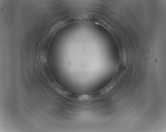 X0000074040091200609111750