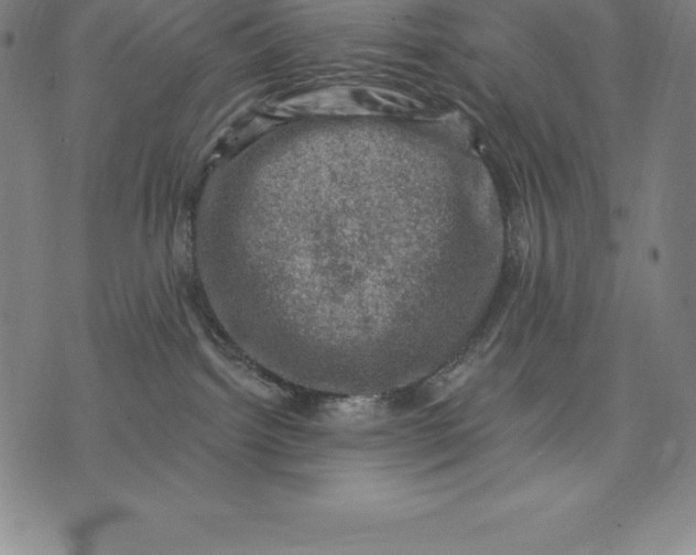 X0000074040092200609111750