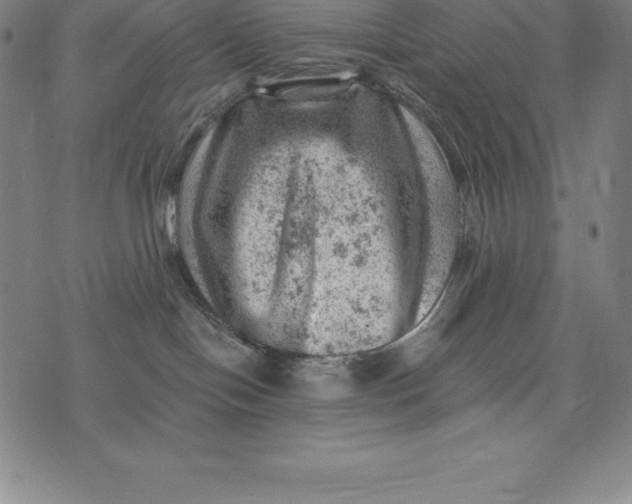 X0000074040094200609111750