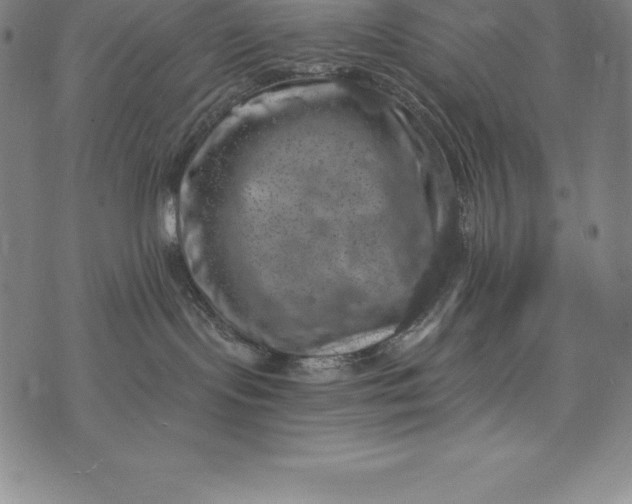 X0000074040095200609111750